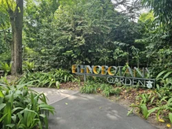 Singapore Botanic Gardens 3365242519