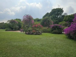 Singapore Botanic Gardens 3854734949