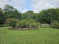 Singapore Botanic Gardens 1347123007