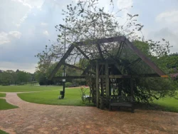 Singapore Botanic Gardens 3154114307