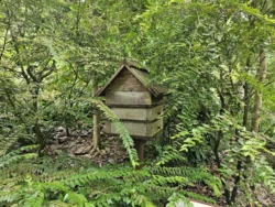 Singapore Botanic Gardens 723906516