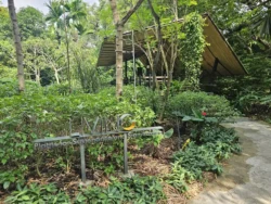 Singapore Botanic Gardens 2940853056