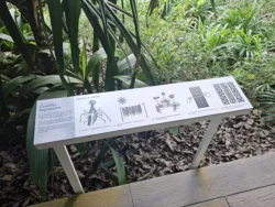 Singapore Botanic Gardens 1137915519