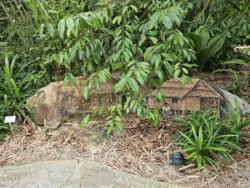 Singapore Botanic Gardens 4223265842