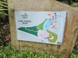 Singapore Botanic Gardens 1849595362