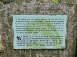 Singapore Botanic Gardens 2023787481