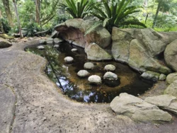 Singapore Botanic Gardens 1399006474
