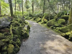 Singapore Botanic Gardens 1898510265