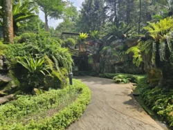 Singapore Botanic Gardens 2534631404