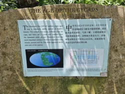 Singapore Botanic Gardens 1425221380