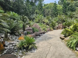 Singapore Botanic Gardens 3048152356