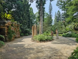 Singapore Botanic Gardens 1227492757