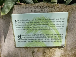 Singapore Botanic Gardens 3387752561