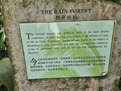 Singapore Botanic Gardens 981800488