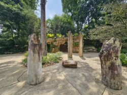 Singapore Botanic Gardens 3337576147