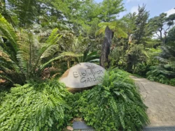 Singapore Botanic Gardens 64136321