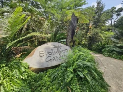 Singapore Botanic Gardens 1138024625