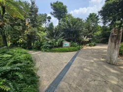 Singapore Botanic Gardens 567003435