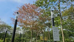 Lower Seletar Reservoir (Rower's Bay) 3376706144