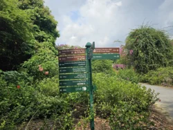 Singapore Botanic Gardens 3555052223