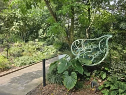 Singapore Botanic Gardens 4264470994