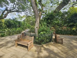 Singapore Botanic Gardens 3848828681