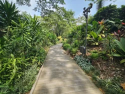 Singapore Botanic Gardens 400283716
