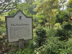 Singapore Botanic Gardens 3030699178