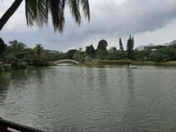 Marsiling Park 2850407792