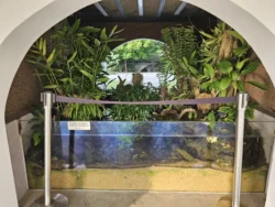 Singapore Botanic Gardens 2121728056