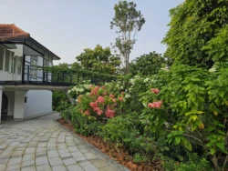 Singapore Botanic Gardens 341459959