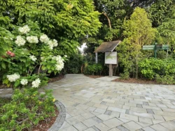 Singapore Botanic Gardens 762783675