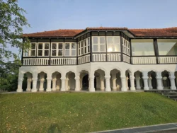 Singapore Botanic Gardens 548574923