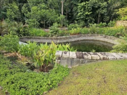 Singapore Botanic Gardens 4235885792