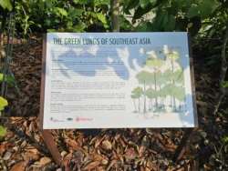 Singapore Botanic Gardens 1871770817