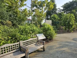 Singapore Botanic Gardens 2191261613
