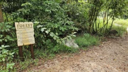Rifle Range Nature Park 1751745409