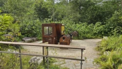 Rifle Range Nature Park 3367029287