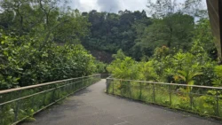 Rifle Range Nature Park 3990142047