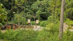 Rifle Range Nature Park 3722470107