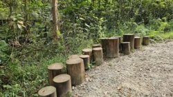 Rifle Range Nature Park 1290522561