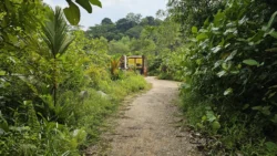Rifle Range Nature Park 757763271