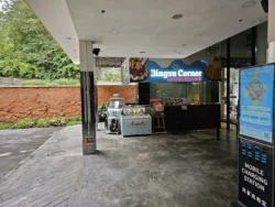 Singapore Botanic Gardens 3062608371
