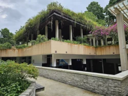 Singapore Botanic Gardens 1732159300