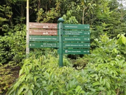 Singapore Botanic Gardens 557564844