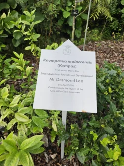 Singapore Botanic Gardens 3516812738
