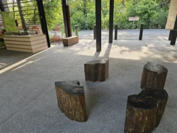 Singapore Botanic Gardens 2773909240