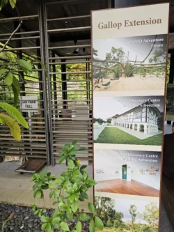 Singapore Botanic Gardens 1739673577