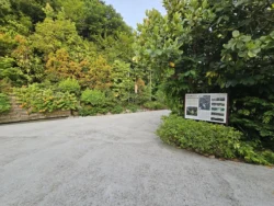 Singapore Botanic Gardens 3471176283