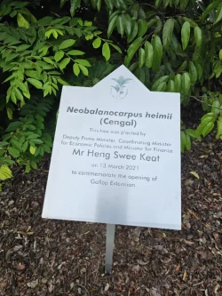 Singapore Botanic Gardens 3975978993